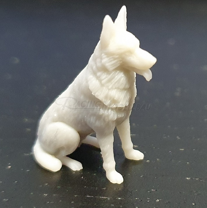 Hund 1/30