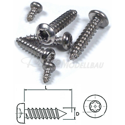 Blechschrauben TX 2x4mm 30 Stück