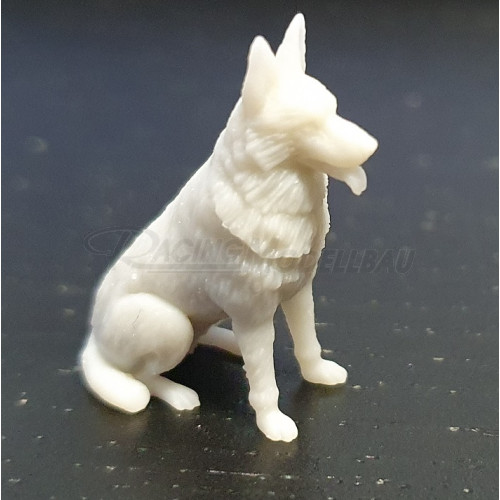 Hund 1/30