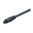 4pol Buchse mit Kabel 2m
