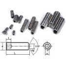 Gewindestifte Innensechskant M2x3mm 30 Stück