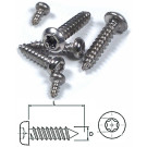 Blechschrauben TX 3x10mm 30 Stück