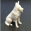 Hund 1/20